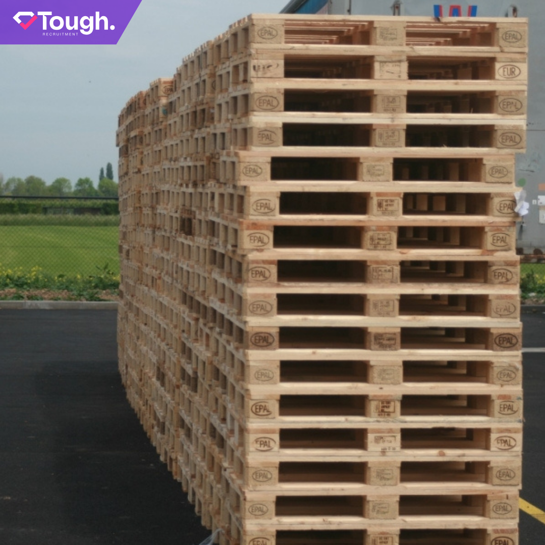Financial controller1 Pallet